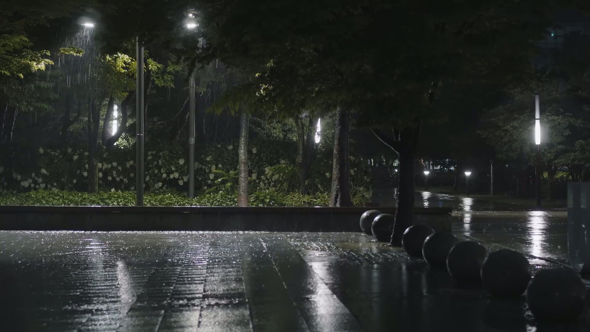 夜晚公园里倾泻的暴雨与雷声，让你忘记失眠，99% 的人都会很快入睡