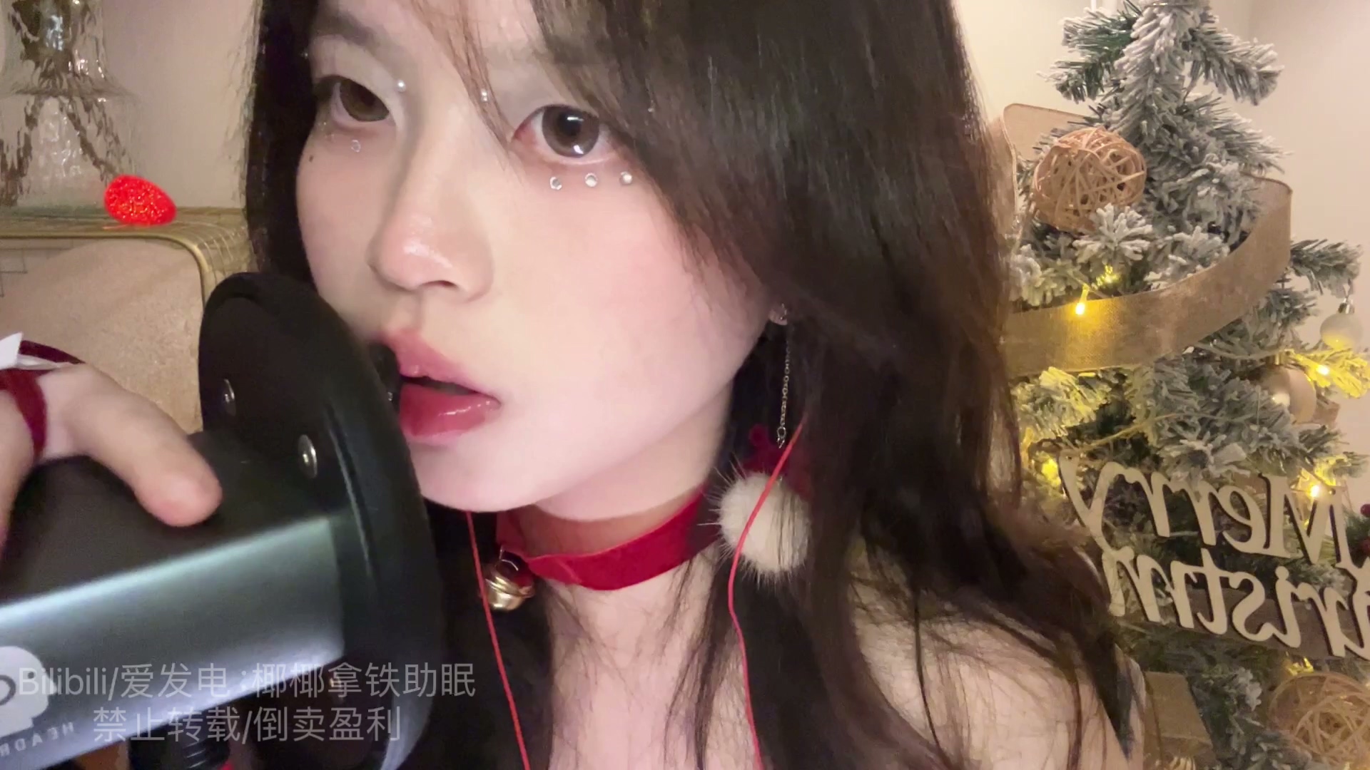 椰椰拿铁-圣诞天鹅2