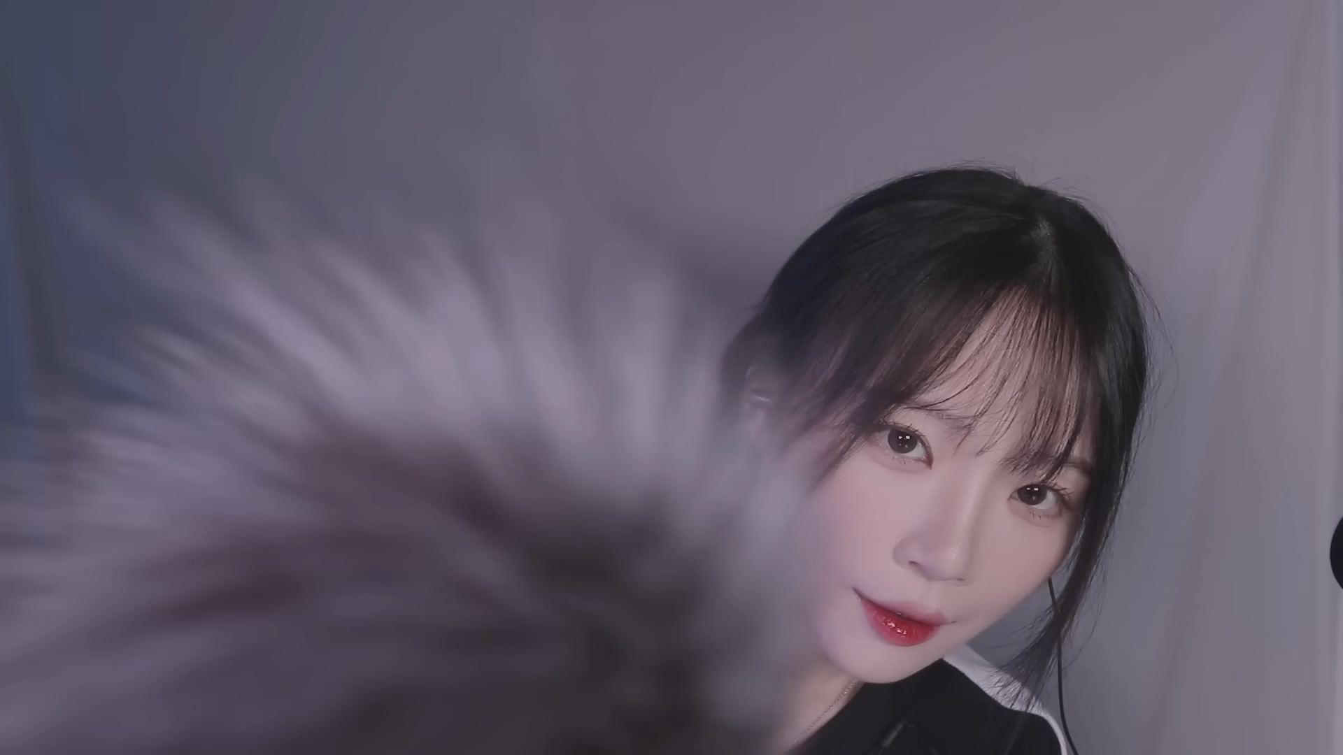 Nara-来当一只猫吧