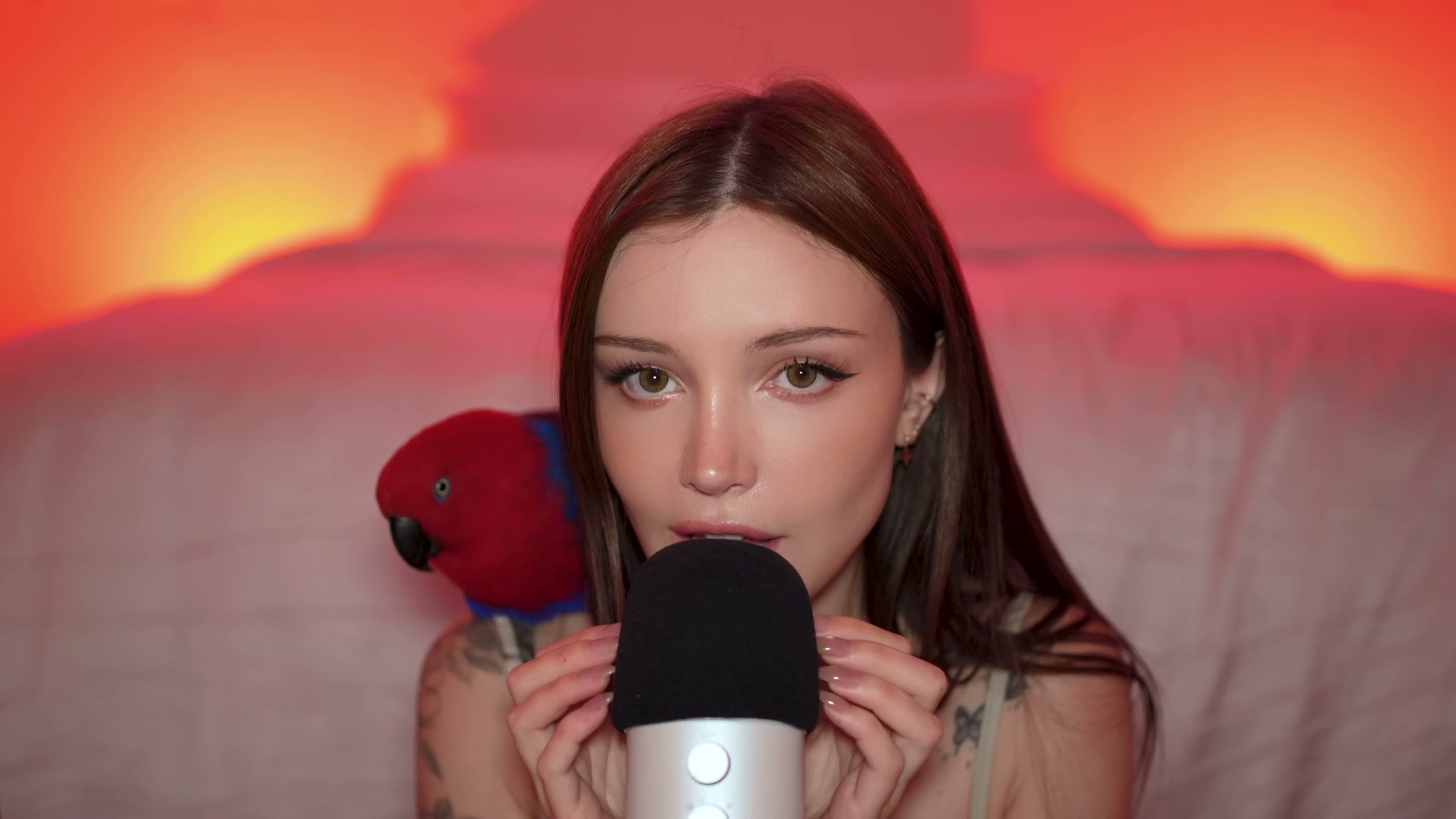 Dainty Wilder-ASMR，不过这次是我的鹦鹉来做触发音